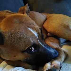 Meet your Posher, Craig